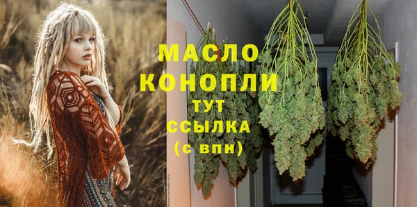 спиды Бородино