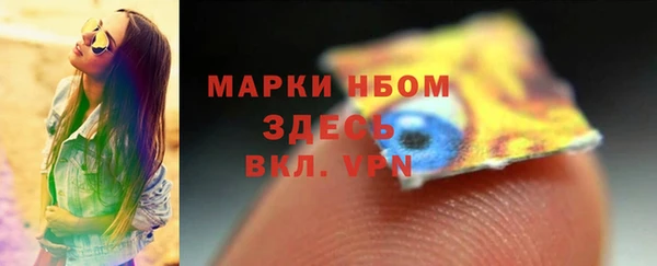 спиды Бородино