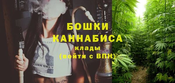спиды Бородино