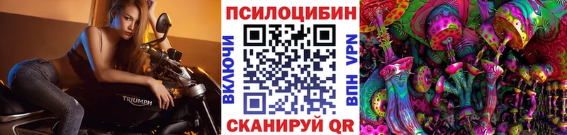 Галлюциногенные грибы Cubensis  Лодейное Поле 