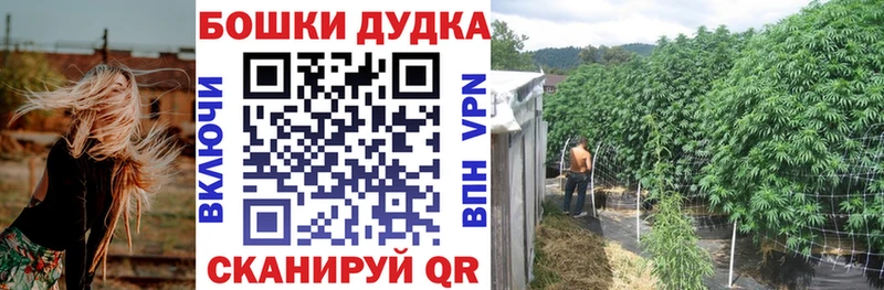 KRAKEN вход  наркотики  Лодейное Поле  Марихуана планчик 